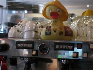 Duck watching the baristas at work, Bewley's Dublin